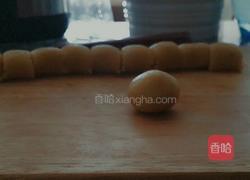 快手浓香奶酪饼干(免打发)的做法图解9