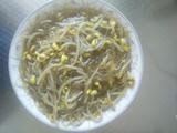豆芽炒粉条