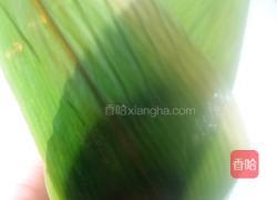 粽子的做法图解3