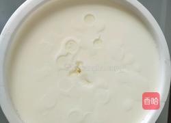 酸奶的做法图解4