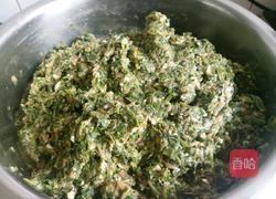 蒲公英馅蒸饺的做法图解4