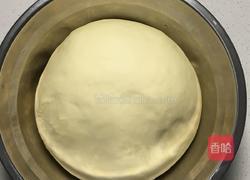 豆沙面包的做法图解6