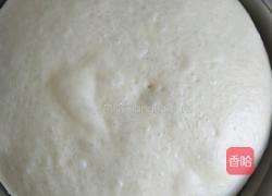 豆沙面包的做法图解4