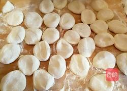 黄瓜鸡蛋素馅饺子的做法图解16