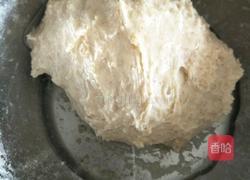 全麦奶香吐司的做法图解6