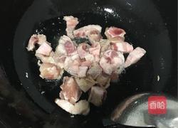 鸡猪肉炖土豆的做法图解6