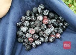 野生树莓酱的做法图解3