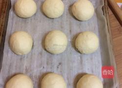 椰香小面包的做法图解5