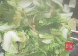 醋溜小白菜的做法图解6