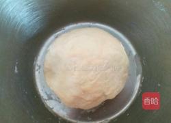 西红柿肉丝面片汤的做法图解2