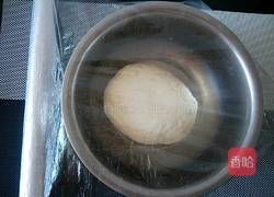 椰蓉奶香花卷的做法图解4