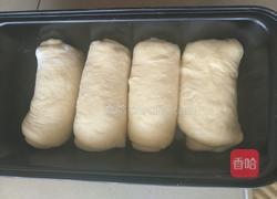 全麦面包的做法图解13