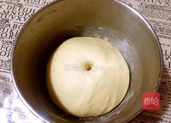 奶香小面包的做法图解7