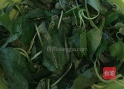 干辣椒炒红薯叶的做法图解1
