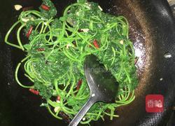 干辣椒炒红薯叶的做法图解6