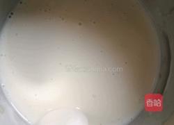 酸奶的做法图解5