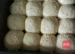 原味小餐包的做法图解5