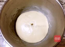 蔓越莓面包的做法图解6