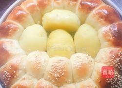 土豆小餐包的做法图解10