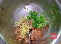宝宝三色饺子的做法图解2