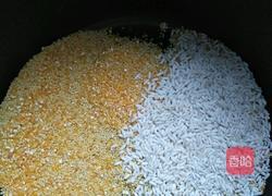 胡萝卜杂粮粥的做法图解2