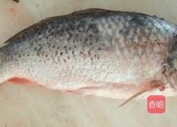 糖酥鲤鱼的做法图解1