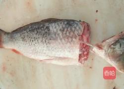 糖酥鲤鱼的做法图解2