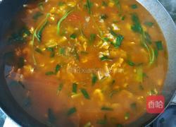 烩麻食（刀削面)版的做法图解14