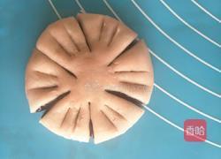 桃花酥的做法图解18