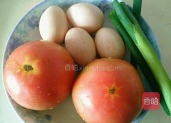 西红柿鸡蛋饺子的做法图解1