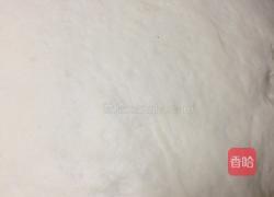 素什锦包子的做法图解1