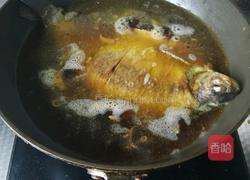 红烧鲳鱼的做法图解6