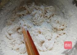 虾仁鸡蛋白菜馅饺子的做法图解1