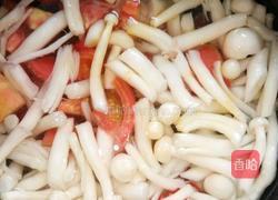 西红柿海鲜菇腿骨汤的做法图解5