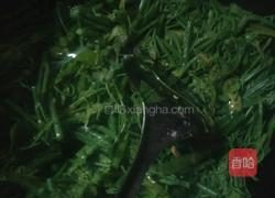 爆炒土耳瓜尖的做法图解6