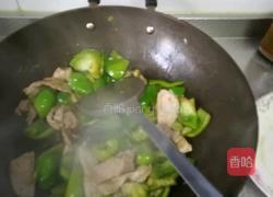 大辣椒炒肉的做法图解9