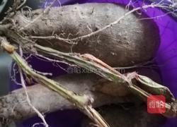 紫山药排骨汤的做法图解1