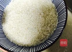 豆浆糯米粥的做法图解6