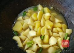 土豆炖茭白的做法图解11