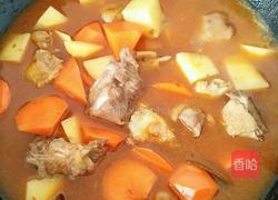 土豆烧鸡的做法图解8