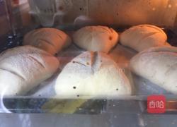 肉松面包的做法图解7