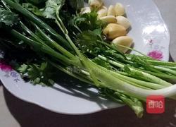 凉拌泽耳儿根（鱼腥草）的做法图解2