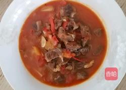 番茄牛腩的做法图解7