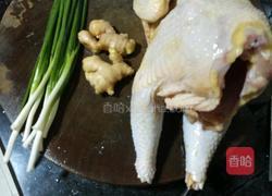 茶花白切鸡的做法图解1