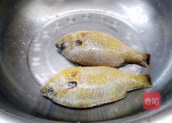清蒸太阳鱼的做法图解1