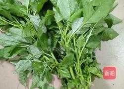 素炒苋菜的做法图解1
