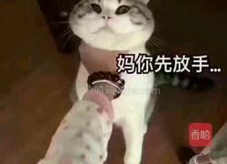 萝卜爽腩面的做法图解7