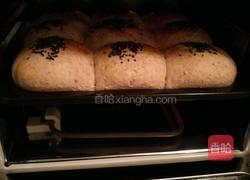 Whole Wheat Bread 全麦面包的做法图解10