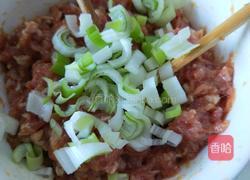 玉米鲜肉馄饨的做法图解4