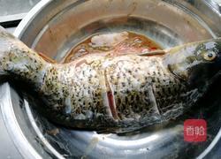 糖醋鲤鱼的做法图解1